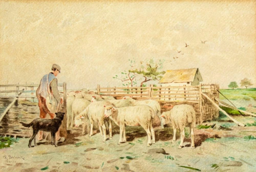 Pastore e gregge di pecore